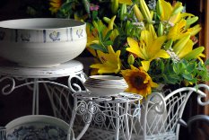 Porcelain and Lilies