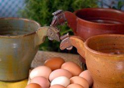 2013 Spring Open House, Three hens with eggs.